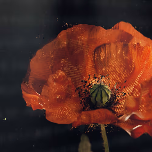 Item #54146082010400626142033190626811009624551032097677302424069293429981454532618 Media