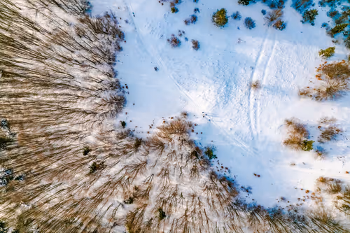 Item #65269379632311846935399782882204569097727852273357050594250130906826816880641 Media