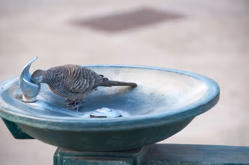 Item #92971587401879212914465603849674525645265351012255145539777938549829604999186 Media