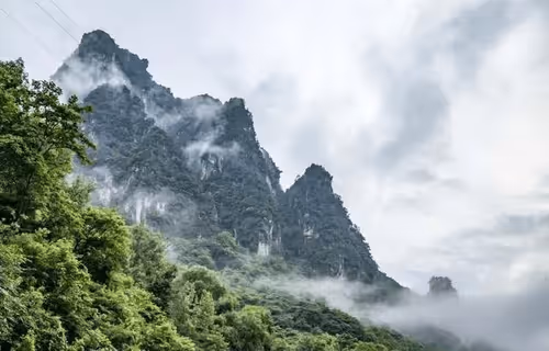 Untitled Collection #8704309