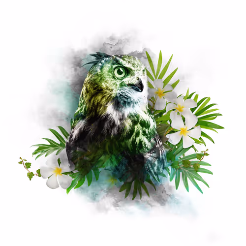 Item #59088353916634911645199901135540098457890710800918991321684793794285486997505 Media