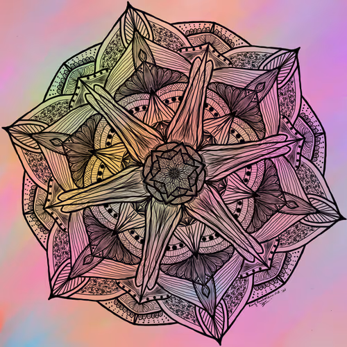 65868684211981638070882910776119780139800426781508159830834060347744777666570