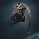 59425200466885249294726865024006127319108858612649994263980422413826903769089