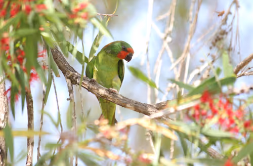 Item #38679742034539595231050778277230577149943789844640085041494942474888326152193 Media