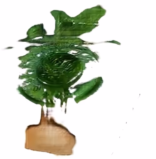 Item #34571563386459127761261740546366153221129147098234432782485651004958774919169 Media