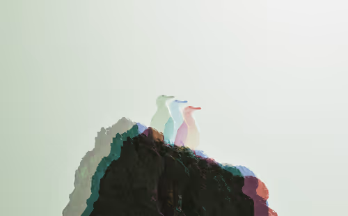 Item #59460418745900880149384463329976115071271339540614432273345156486892401721345 Media