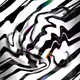 85937293284346853461632572446270799549471620023398896613770416977950053236737