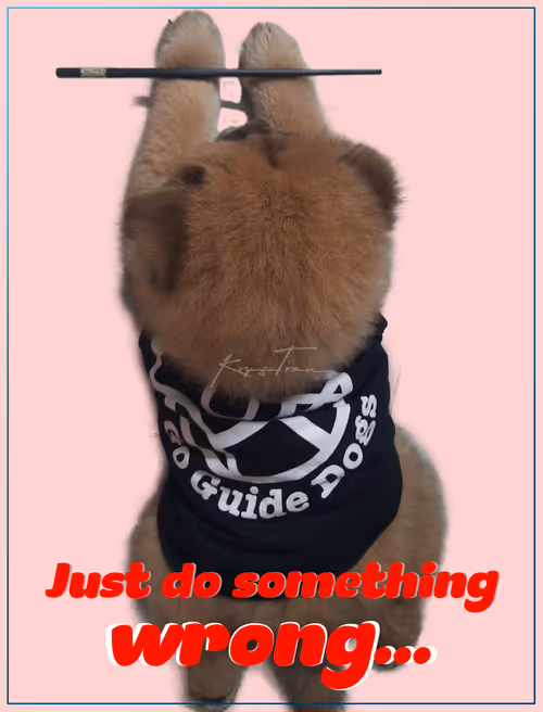 Item #103606411814514267144441239329390381368364317226309774540220525440471771643905 Media