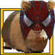 11956811942635422927171460162610099694714344402587762652016437330684856500225