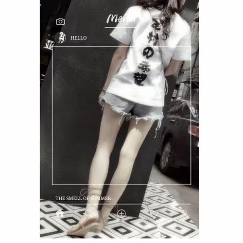 lansw Collection