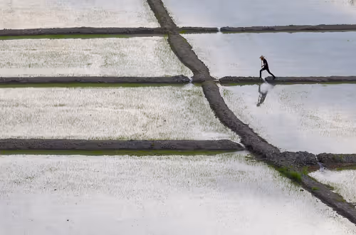 Item #21360135595636761708002264298030741123237362591555506440031731748280528273409 Media