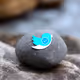 Checks Rocks