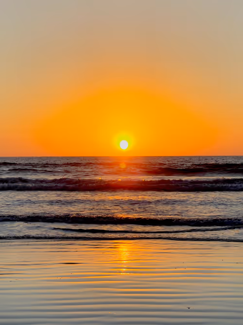 Item #68569921609983084806260736948600394940092661031178232283122914065806864154625 Media