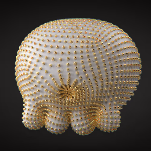 Item #87493283407242590631147754452577123195268381553054915748192344808797836935169 Media