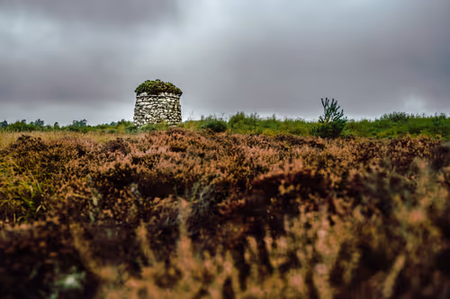 Item #102605457928241104048743295403602397884780439289049187283366587323739568865281 Media