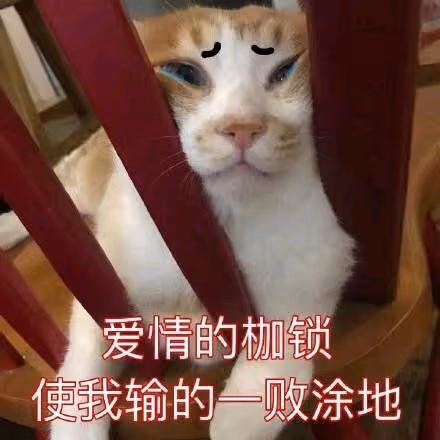 qqq66