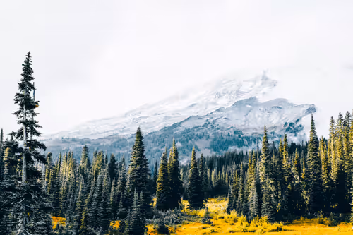 Item #63454844605715267947314910232292346032056647728766809663184741543971368468481 Media