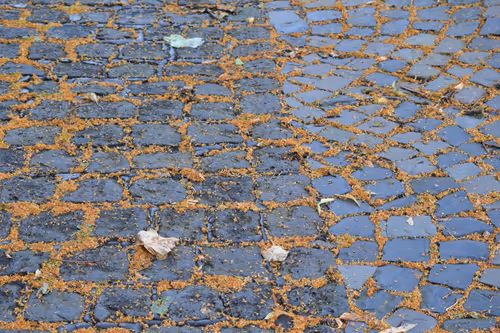 Item #916077490281078954391891268022086119289121145792755899354399170540660064257 Media