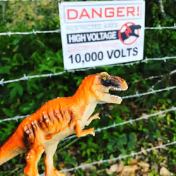 dinosaur park