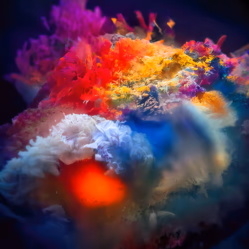 Explosion of Color #99