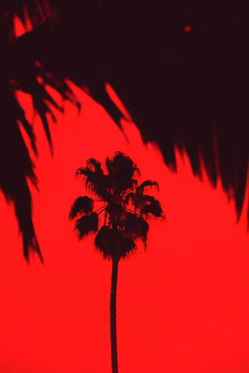 Item #35557780727049604459658880725917592814256363748111026780455796780493847920641 Media