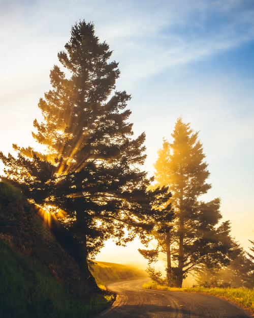 Item #99379921276153973634104125152908526548510783699959858376338453584300197543937 Media