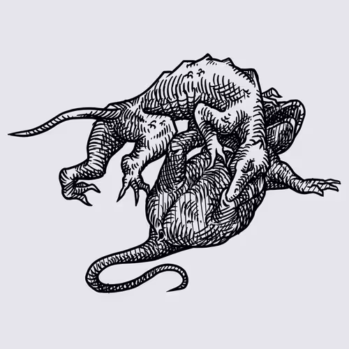 Item #57319268697671272436603797110060872632708398562227121989192562701970933022721 Media