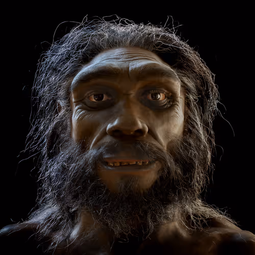 2749212597480566319420670968386715303055052819437880047570039902879866683480