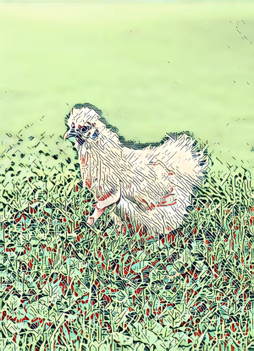 Item #12986001583624842443475589555777676835882886084855718816066093922464353484801 Media