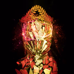 Lightborn avatars #414