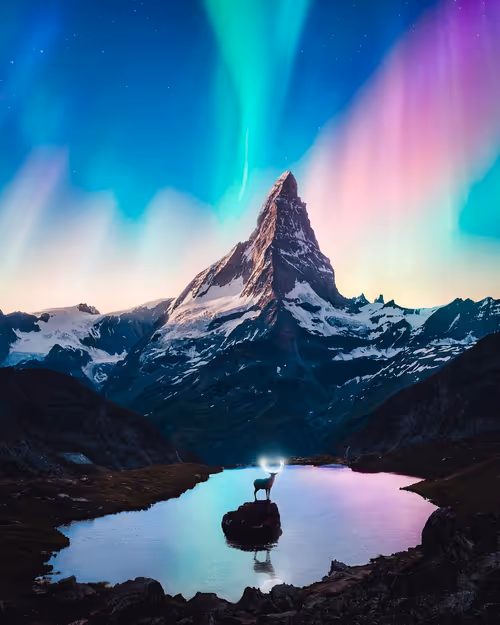 Item #7011756118865655671671030656332753071485214867850025017167807877954907668481 Media