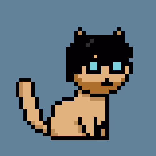 PunkCat #8824