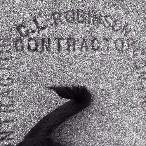 Item #56431751608181922231259635946092067407977788553703326303680802272267827412993 Media