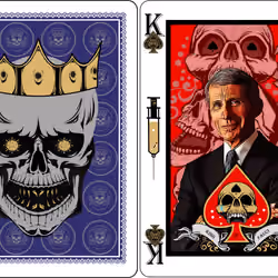 PANDEMIC CARDS KING OF SPADES