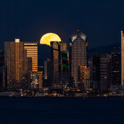 A Timid Moon Rising