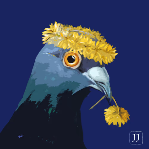 Theartypigeon Collection YpUBGEUwOA