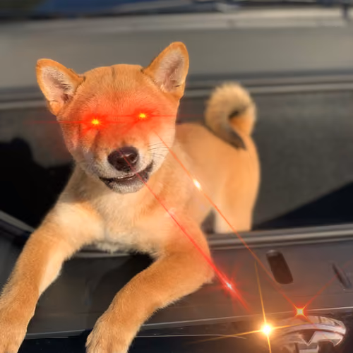 Floki FrunkPuppy Laser Eyes Edition #3/10