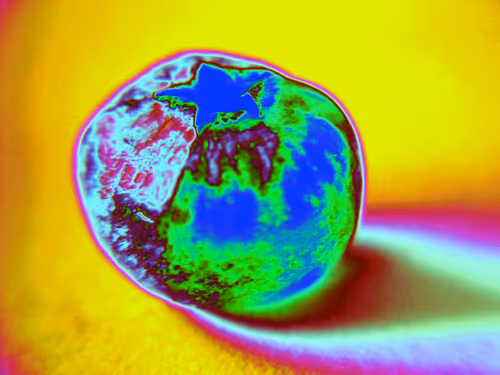 Item #58921648873001727541291667899035918231730626579624698148137299671574124691457 Media