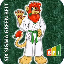 Six Sigma Green Belt Certification #1