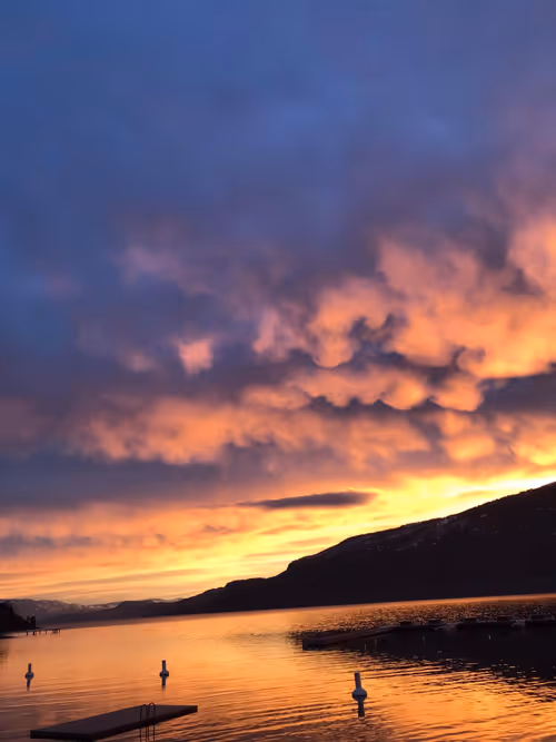 Item #41013704286635162959004487776095067176603519769359421915548602526185574891521 Media