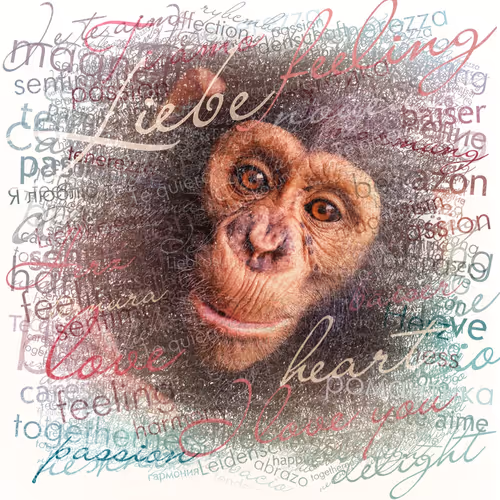 Item #38775667772334495200431258381610230883296000587885911426312875885775237939201 Media