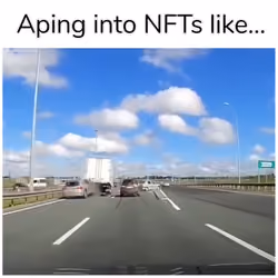 Aping into NFTs like... 2