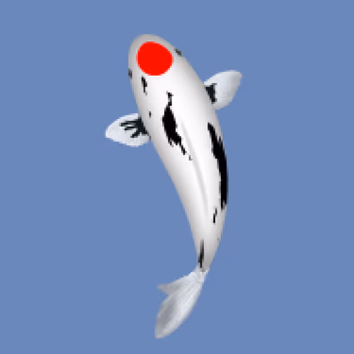 Item #85890538515849146191794191908996501016024634704301377485849141649328018817025 Media