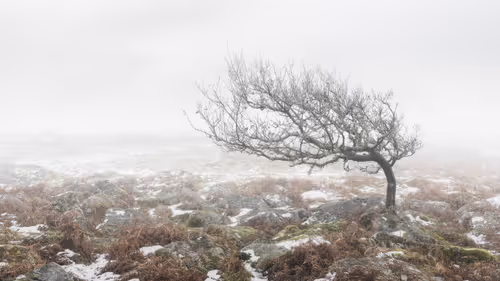 Item #72639390708267126639436568569652760193401123475841185469851730249956701765633 Media