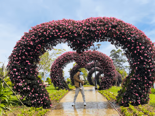 Starknet - Hướng dẫn mua tên miền SNS