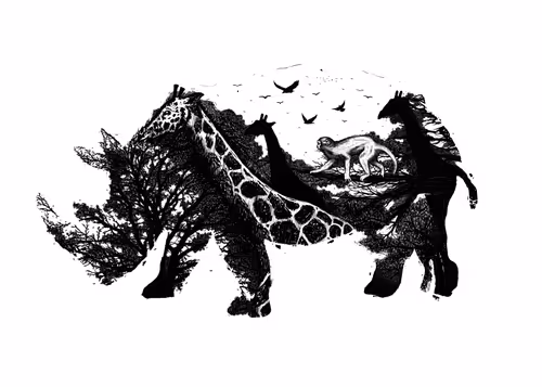 Item #63928277069333023758072606313318946969695348667713168029701733602077351870474 Media