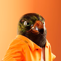 4376362664971565585737253540999175540782146014032197755264946303815324270593