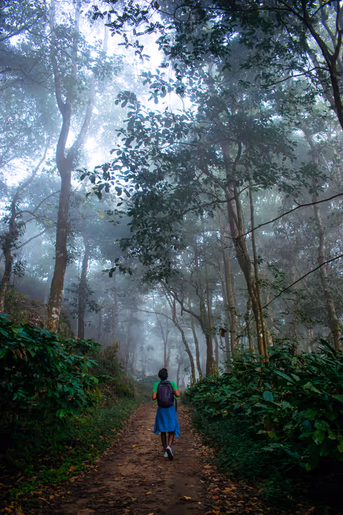 Item #36145732516804139016380361544373269319947941032678267894410350692975067004929 Media