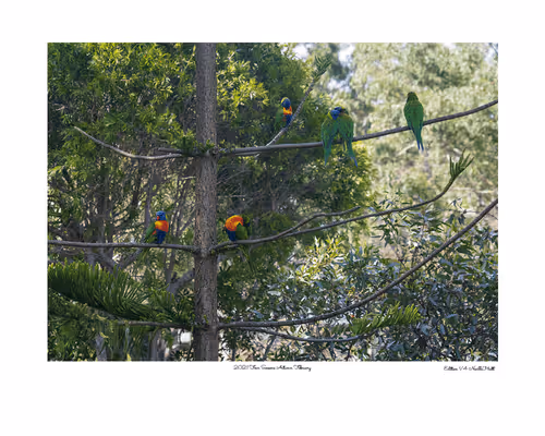 Item #24600310660482288606297797528155087939323639147399647196853483635842725445633 Media