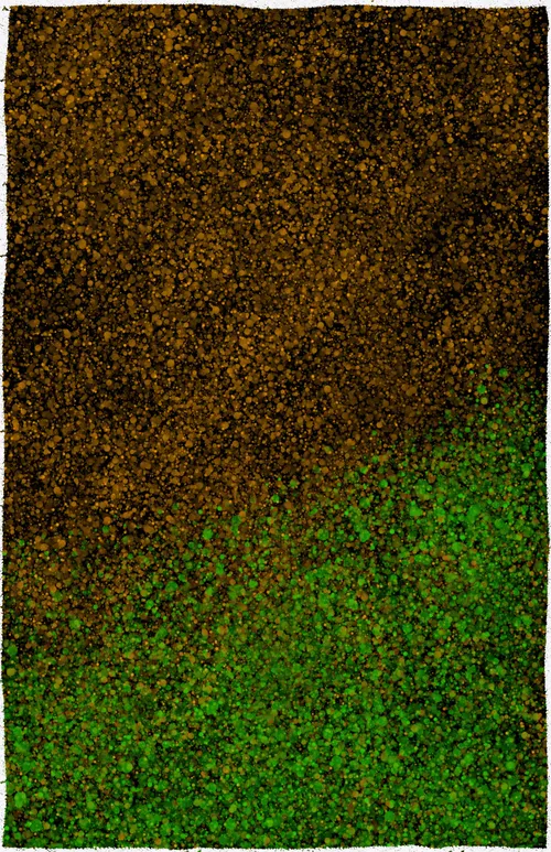 Item #42649803185288892966882308461769339451473229813212741737122739566198051045377 Media